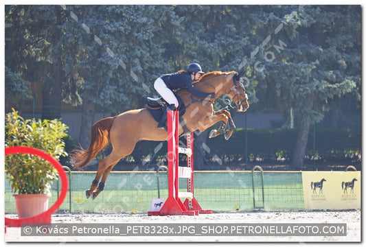 A kép az eredeti csökkentett reprezentációja