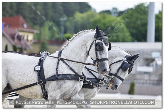 A kép az eredeti csökkentett reprezentációja