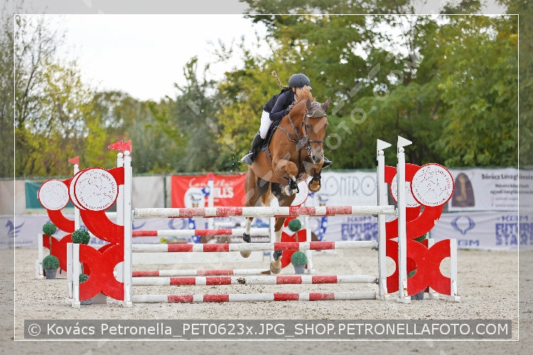 A kép az eredeti csökkentett reprezentációja