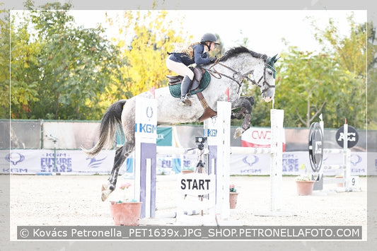 A kép az eredeti csökkentett reprezentációja