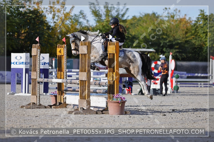 A kép az eredeti csökkentett reprezentációja