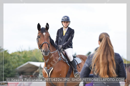 A kép az eredeti csökkentett reprezentációja