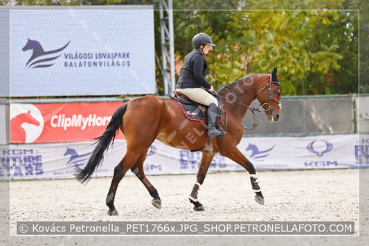 A kép az eredeti csökkentett reprezentációja