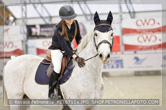 A kép az eredeti csökkentett reprezentációja