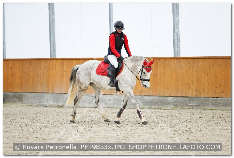 A kép az eredeti csökkentett reprezentációja