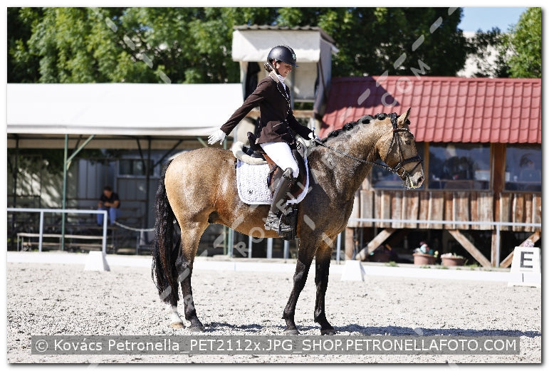 A kép az eredeti csökkentett reprezentációja