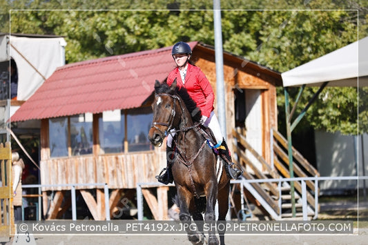 A kép az eredeti csökkentett reprezentációja