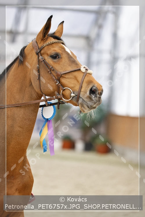 A kép az eredeti csökkentett reprezentációja