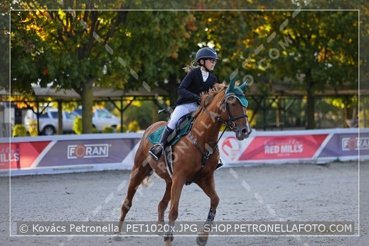 A kép az eredeti csökkentett reprezentációja
