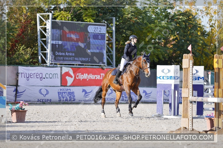 A kép az eredeti csökkentett reprezentációja