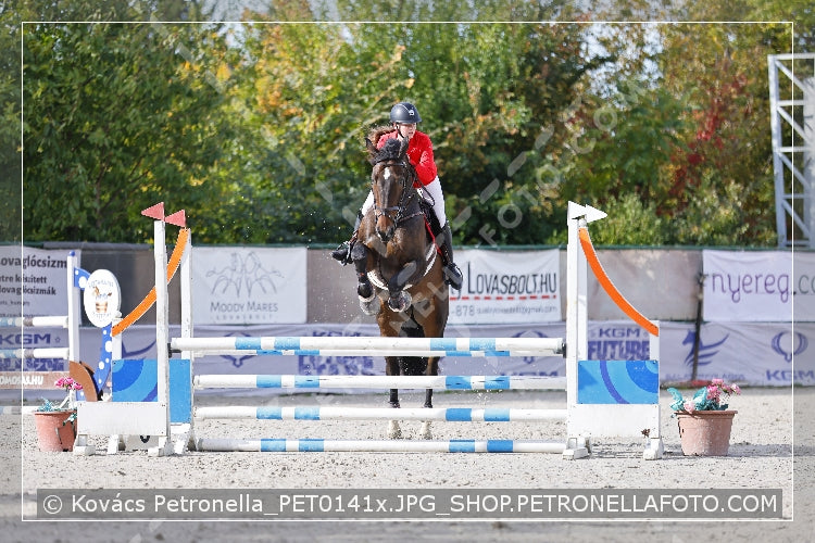 A kép az eredeti csökkentett reprezentációja