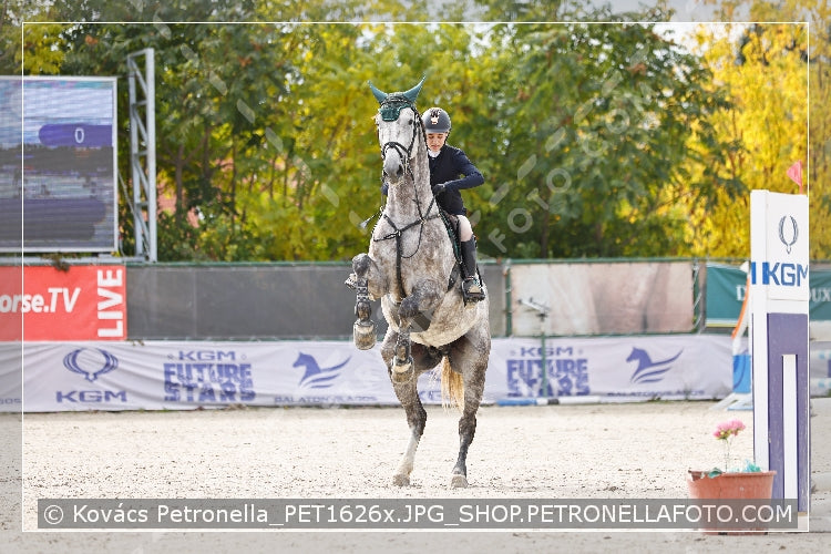 A kép az eredeti csökkentett reprezentációja