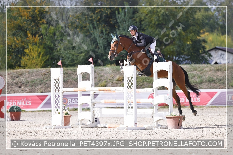 A kép az eredeti csökkentett reprezentációja