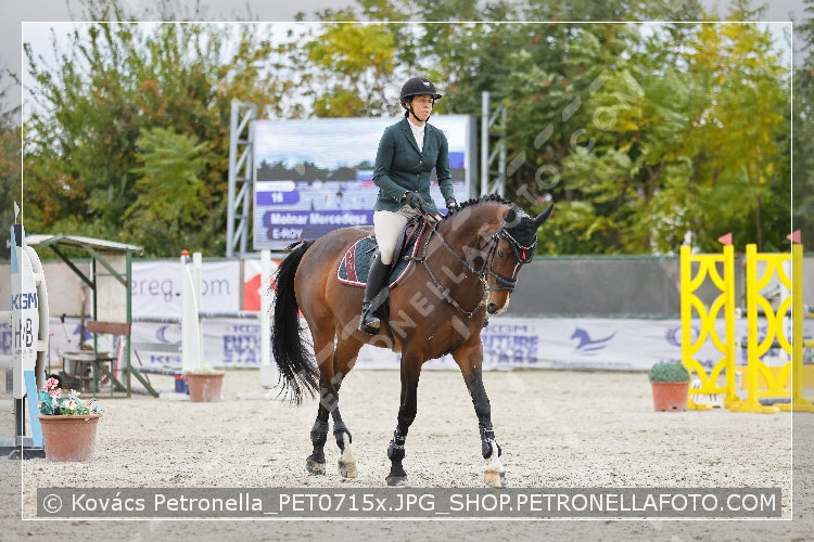 A kép az eredeti csökkentett reprezentációja