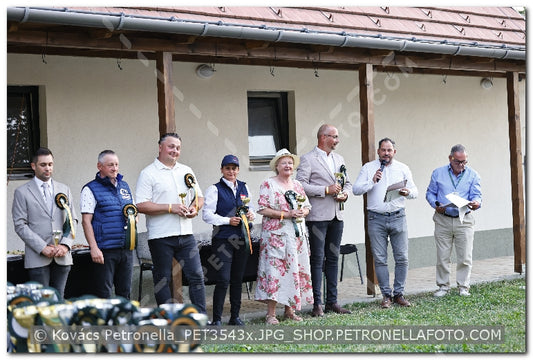 A kép az eredeti csökkentett reprezentációja