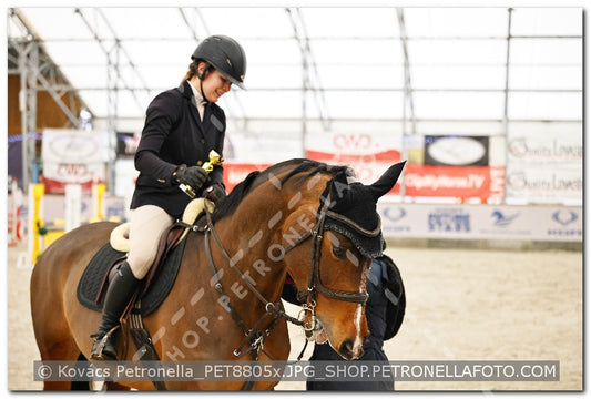 A kép az eredeti csökkentett reprezentációja