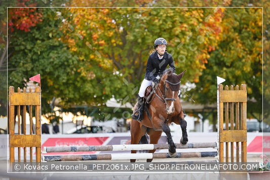 A kép az eredeti csökkentett reprezentációja