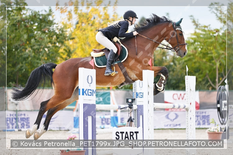 A kép az eredeti csökkentett reprezentációja