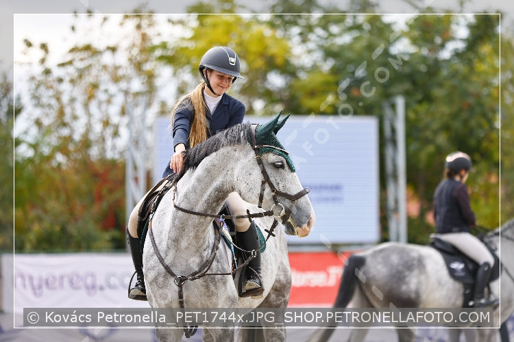 A kép az eredeti csökkentett reprezentációja