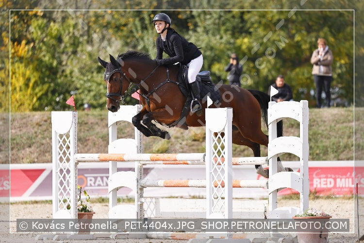 A kép az eredeti csökkentett reprezentációja