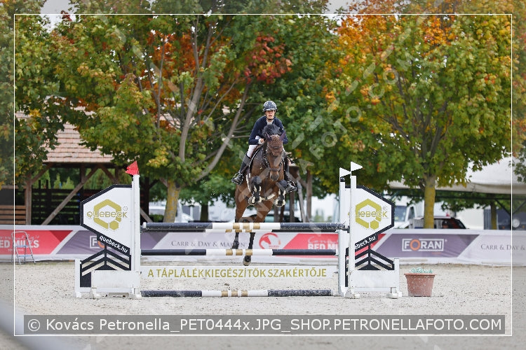 A kép az eredeti csökkentett reprezentációja