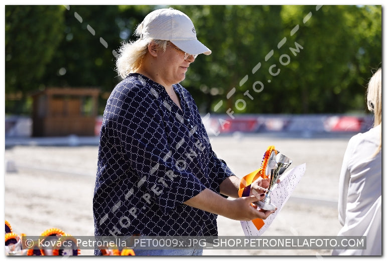 A kép az eredeti csökkentett reprezentációja