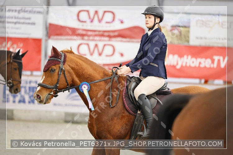 A kép az eredeti csökkentett reprezentációja