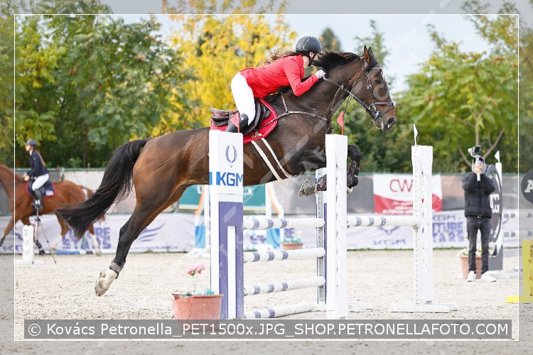 A kép az eredeti csökkentett reprezentációja
