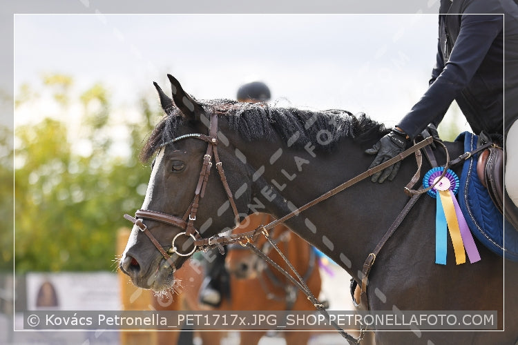 A kép az eredeti csökkentett reprezentációja