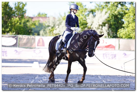 A kép az eredeti csökkentett reprezentációja