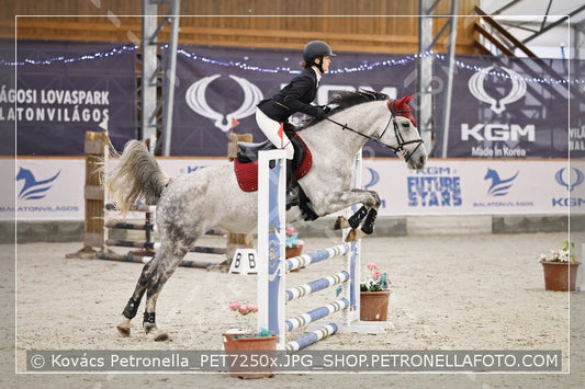 A kép az eredeti csökkentett reprezentációja