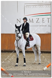 A kép az eredeti csökkentett reprezentációja