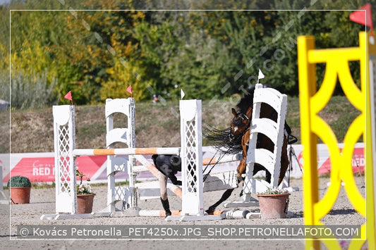 A kép az eredeti csökkentett reprezentációja