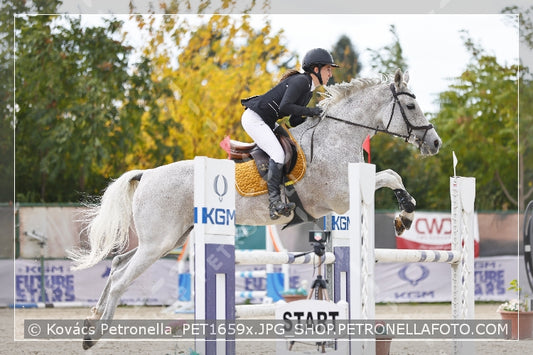 A kép az eredeti csökkentett reprezentációja