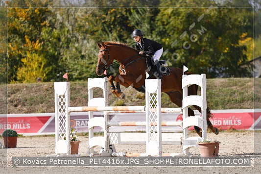 A kép az eredeti csökkentett reprezentációja