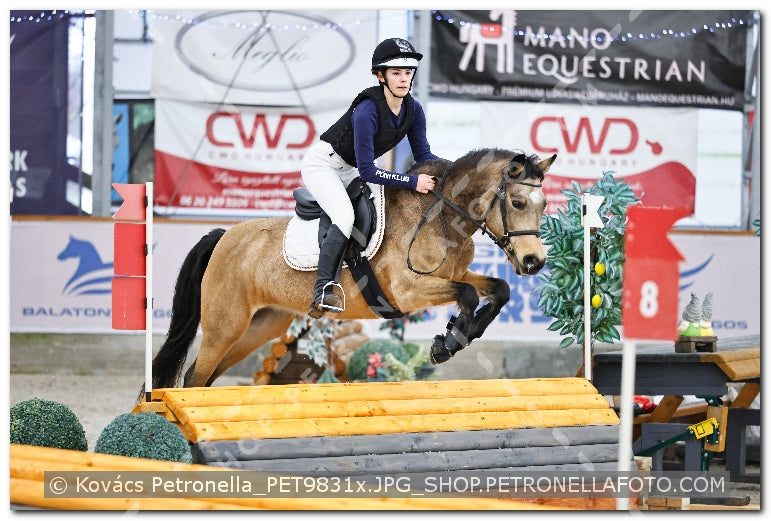 A kép az eredeti csökkentett reprezentációja