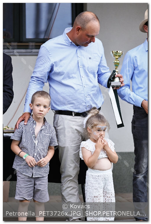 A kép az eredeti csökkentett reprezentációja