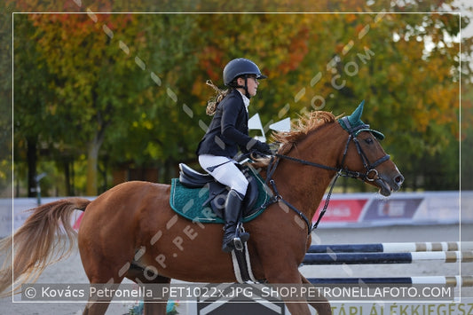 A kép az eredeti csökkentett reprezentációja