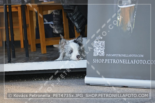 A kép az eredeti csökkentett reprezentációja