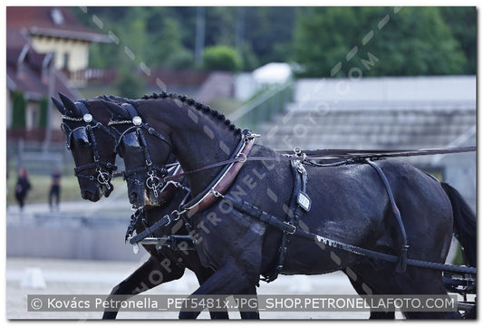 A kép az eredeti csökkentett reprezentációja