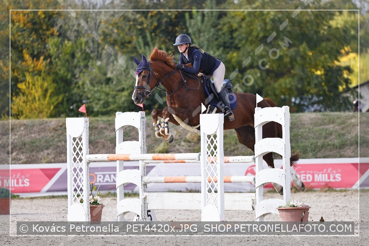 A kép az eredeti csökkentett reprezentációja