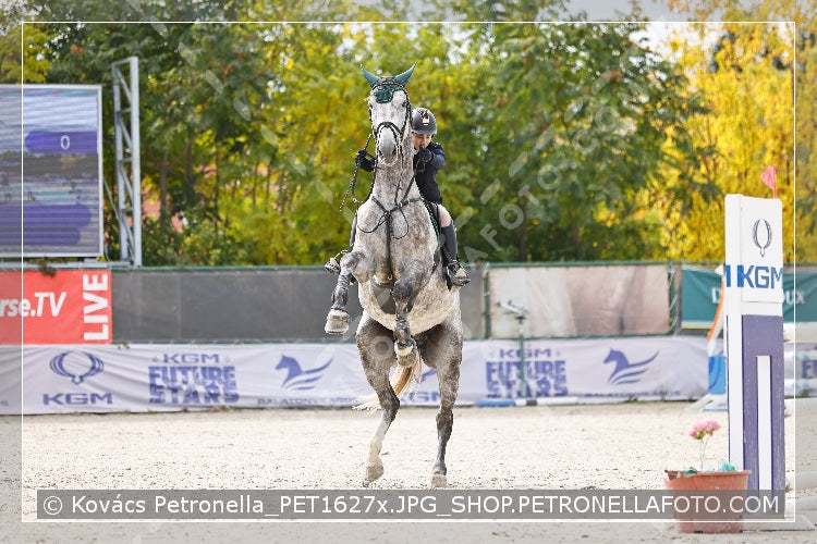 A kép az eredeti csökkentett reprezentációja