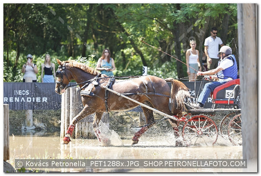 A kép az eredeti csökkentett reprezentációja