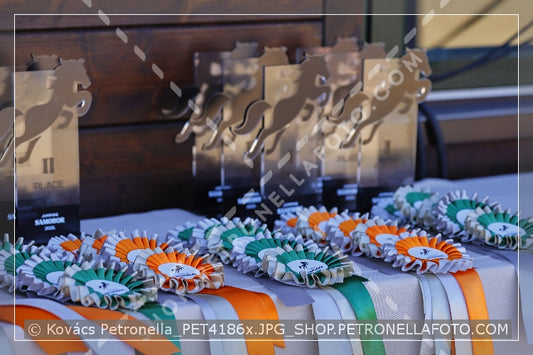A kép az eredeti csökkentett reprezentációja