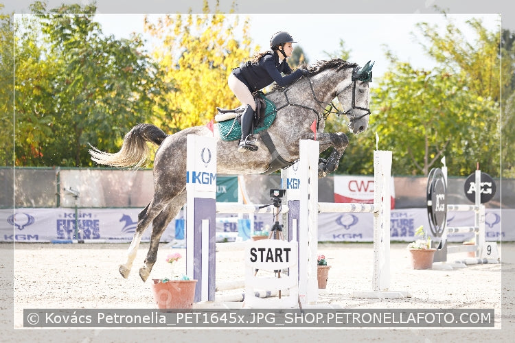 A kép az eredeti csökkentett reprezentációja