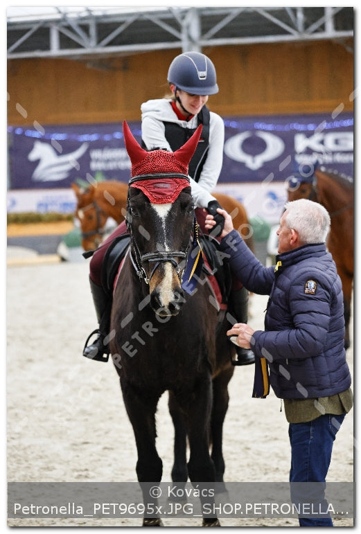 A kép az eredeti csökkentett reprezentációja