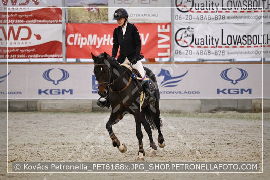 A kép az eredeti csökkentett reprezentációja