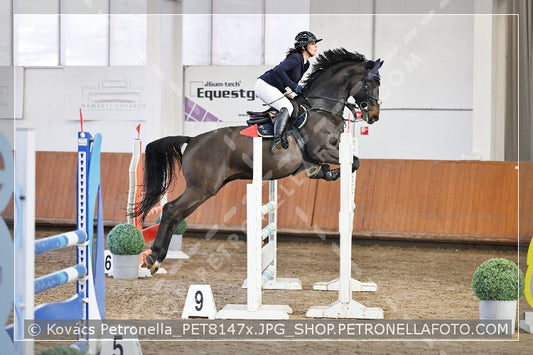A kép az eredeti csökkentett reprezentációja