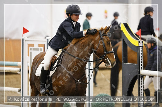 A kép az eredeti csökkentett reprezentációja