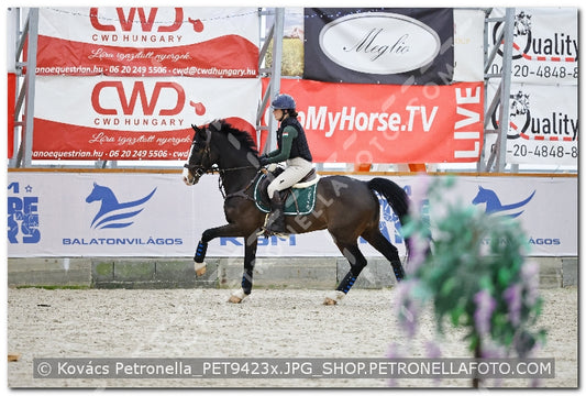 A kép az eredeti csökkentett reprezentációja